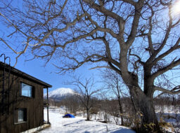 羊蹄山を望むロケーションに建つ住宅。この冬は例年になく晴れの日が多く、頂上まですっきりと山が見えました。
