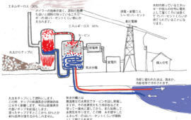 木質バイオマス発電は環境のためになるのか？