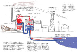 木質バイオマス発電は環境のためになるのか？